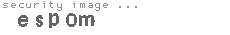 security image