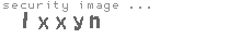 security image
