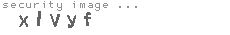 security image