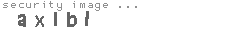 security image