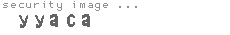 security image