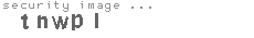 security image
