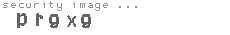 security image