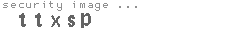 security image