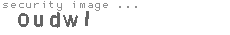 security image