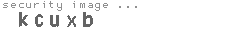 security image
