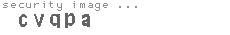 security image
