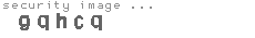 security image