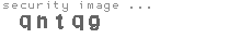 security image