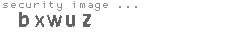 security image