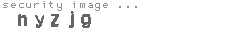 security image