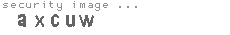 security image