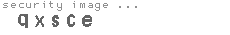 security image