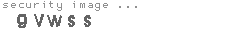 security image