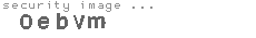 security image