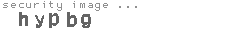 security image