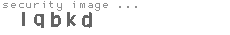 security image