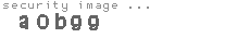 security image