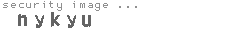 security image