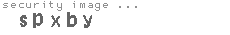 security image