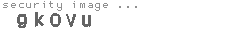 security image