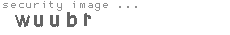 security image