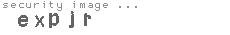 security image