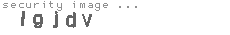 security image