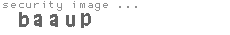 security image