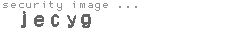 security image