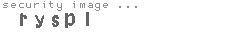 security image