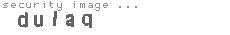 security image