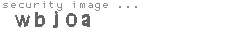 security image