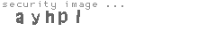 security image