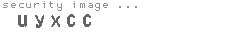security image