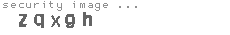 security image