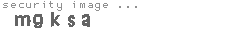 security image