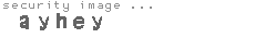 security image