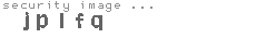 security image