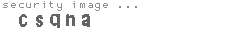 security image