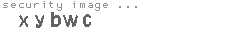 security image