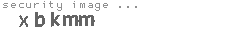 security image