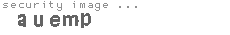 security image