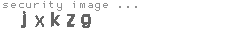 security image