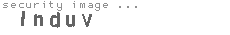 security image