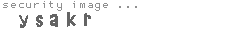 security image