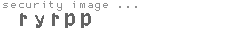 security image