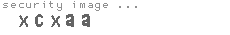 security image