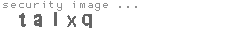 security image