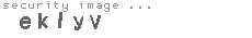 security image
